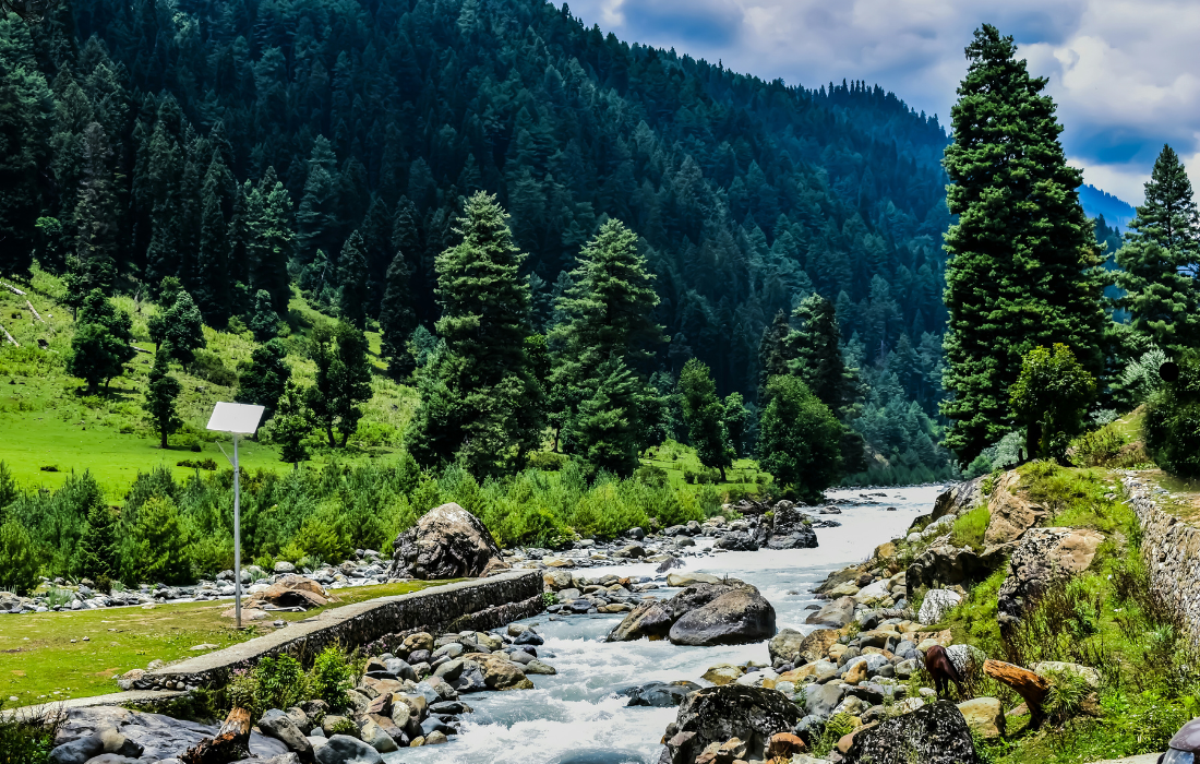 Scenic Drive from Gulmarg to Pahalgam